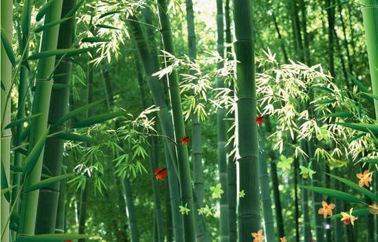 大自然沁人心脾的新鮮空氣，在家也能呼吸到