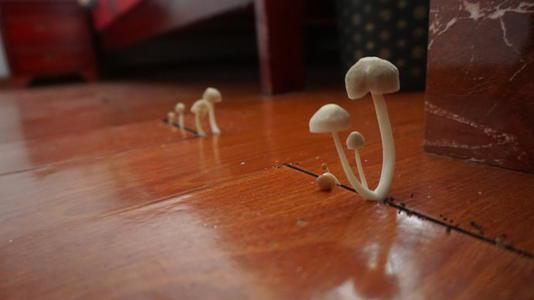 潮濕的地下室對(duì)人體有哪些危害？